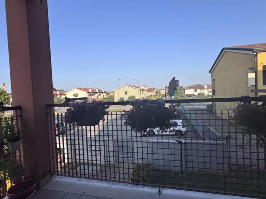 Immagine 2 di Appartamento in vendita  a Pozzonovo