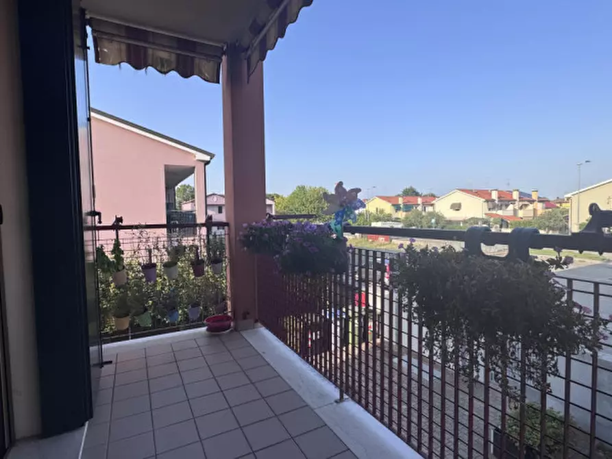 Immagine 3 di Appartamento in vendita  a Pozzonovo