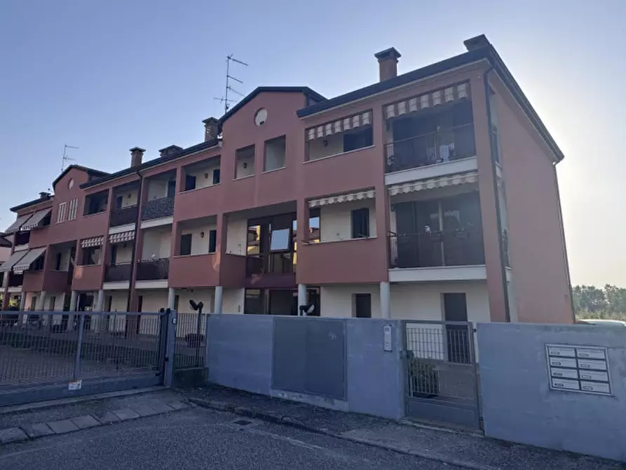 Immagine 5 di Appartamento in vendita  a Pozzonovo