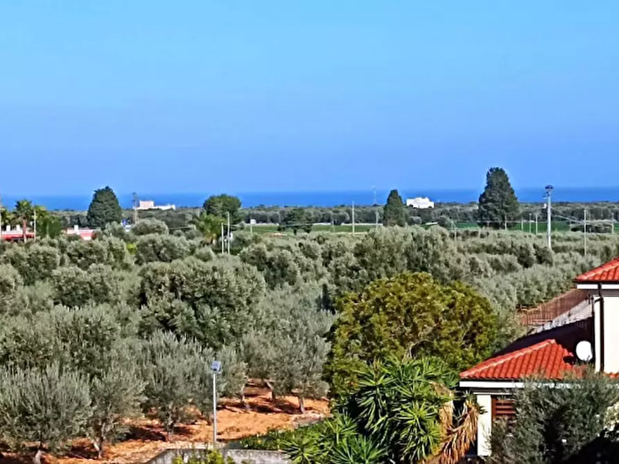 Immagine 1 di Palazzo in vendita  in Montalbano a Fasano