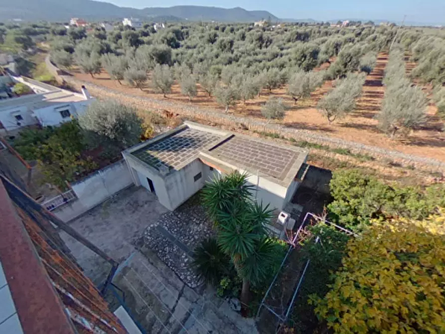 Immagine 44 di Palazzo in vendita  in Montalbano a Fasano