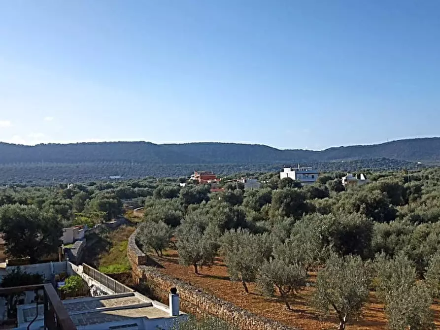 Immagine 45 di Palazzo in vendita  in Montalbano a Fasano