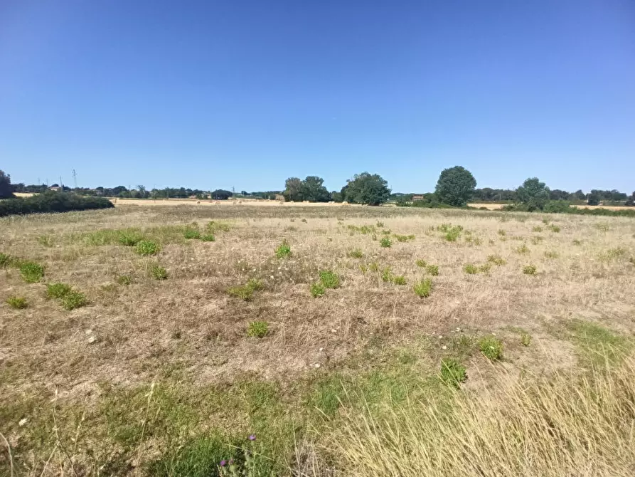 Immagine 2 di Terreno in vendita  in Via Roma a Castiglione Del Lago
