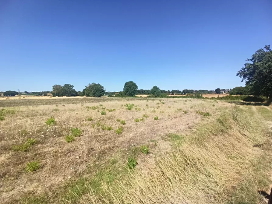 Immagine 3 di Terreno in vendita  in Via Roma a Castiglione Del Lago