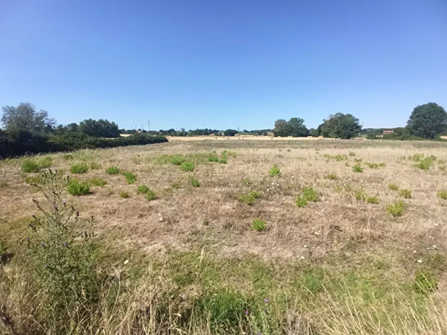 Immagine 4 di Terreno in vendita  in Via Roma a Castiglione Del Lago