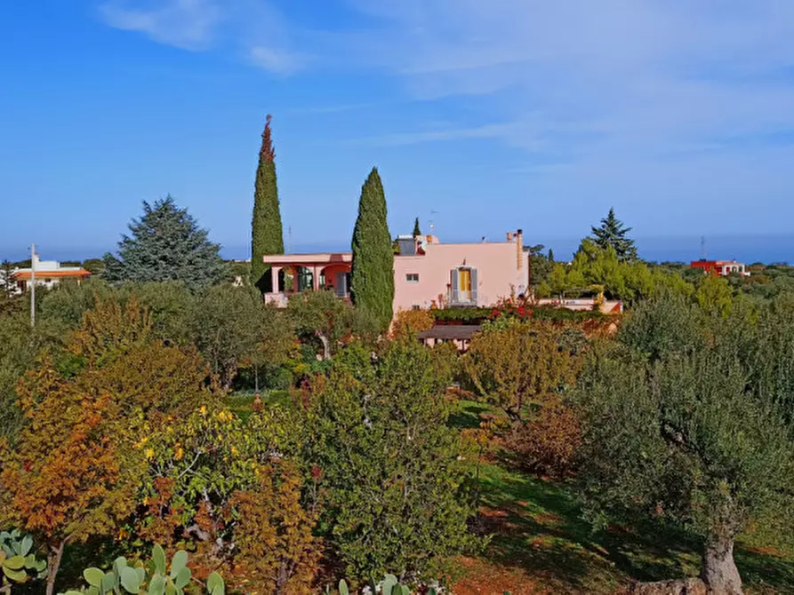 Immagine 15 di Rustico / casale in vendita  in DUET a Monopoli