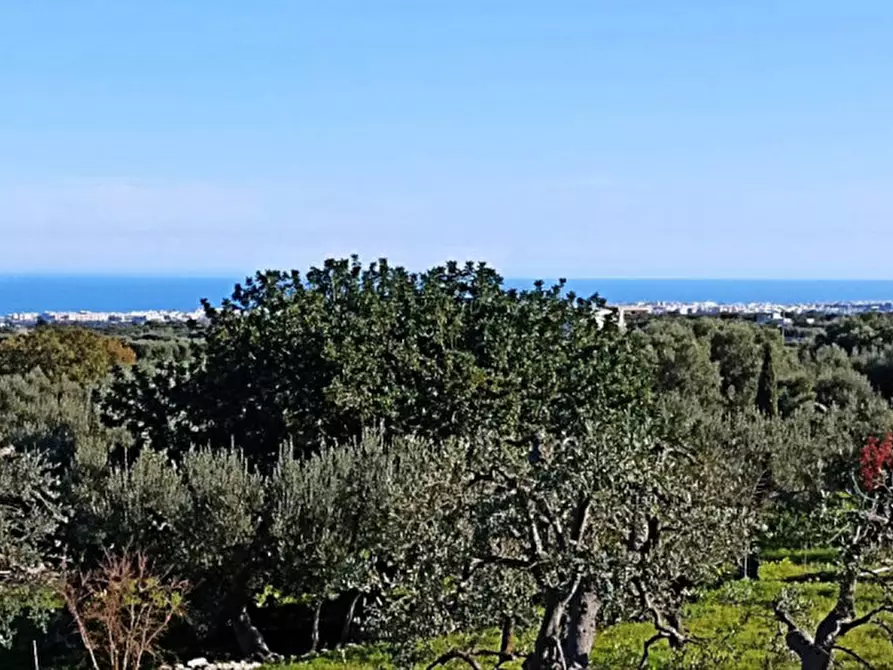 Immagine 99 di Rustico / casale in vendita  in DUET a Monopoli