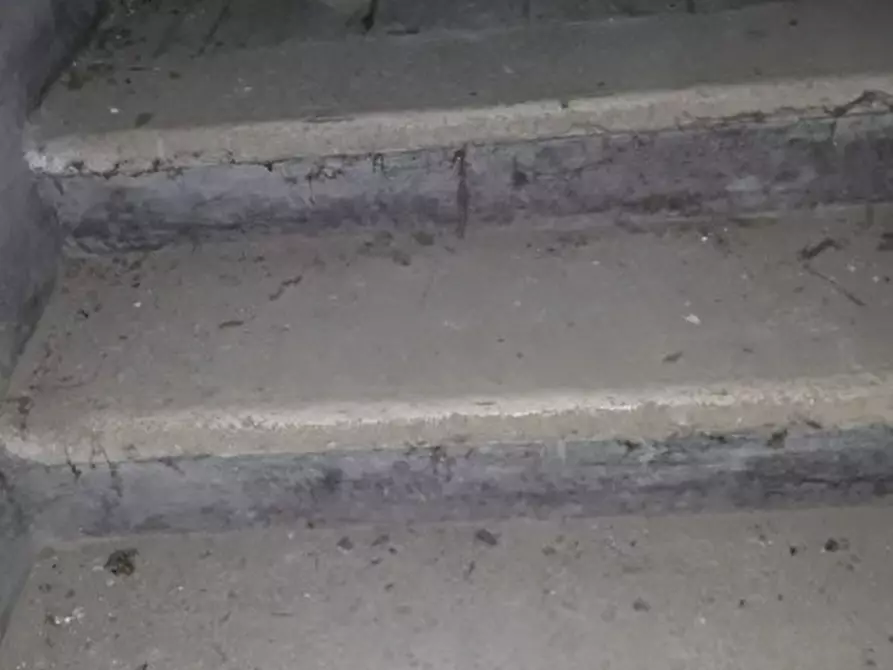 Immagine 21 di Rustico / casale in vendita  a Bassano Del Grappa