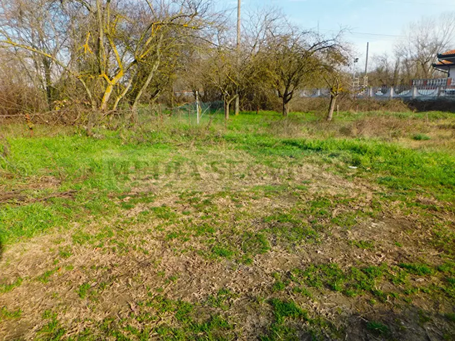 Immagine 26 di Casa indipendente in vendita  in strada della Maddalena n° 11 a Garlasco