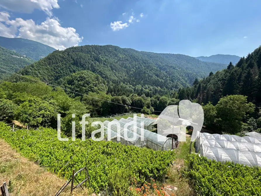 Immagine 7 di Appartamento in vendita  in Grumes viale del molino a Altavalle