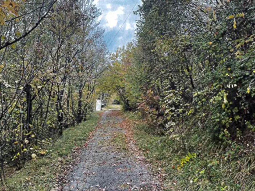 Immagine 1 di Terreno in vendita  in Monte Cengio, N. snc a Cogollo Del Cengio