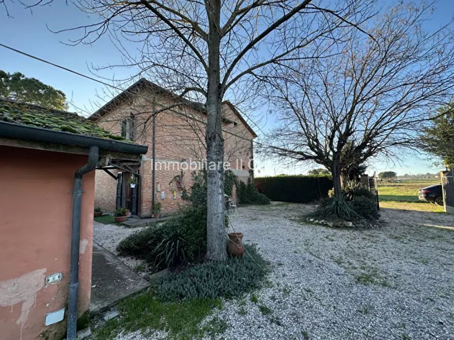 Immagine 30 di Casa indipendente in vendita  in BERTONI a Castiglione Del Lago