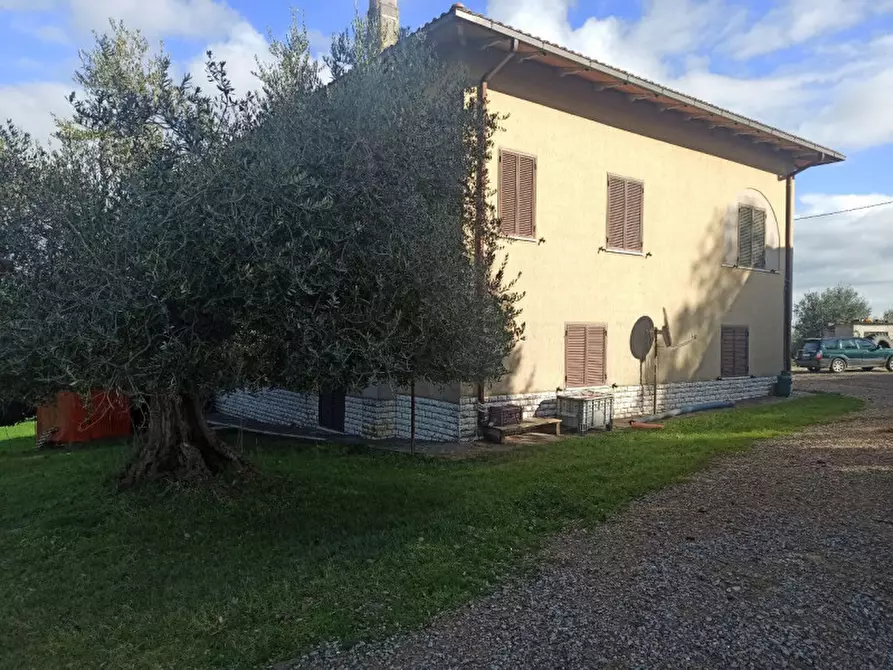 Immagine 3 di Casa indipendente in vendita  in Via Roma a Castiglione Del Lago