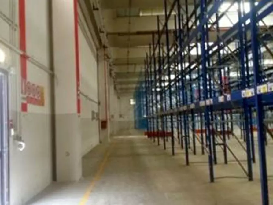 Immagine 4 di Magazzino in affitto  in VIA GRANDI A. a Settala