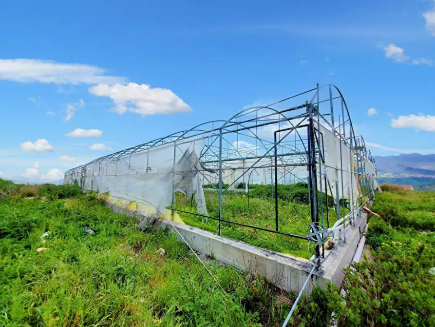Immagine 6 di Terreno in vendita  in Contrada San Lorenzo, N. snc a Mezzojuso