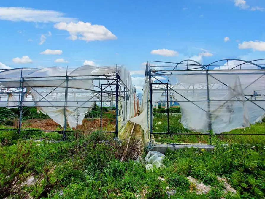 Immagine 7 di Terreno in vendita  in Contrada San Lorenzo, N. snc a Mezzojuso