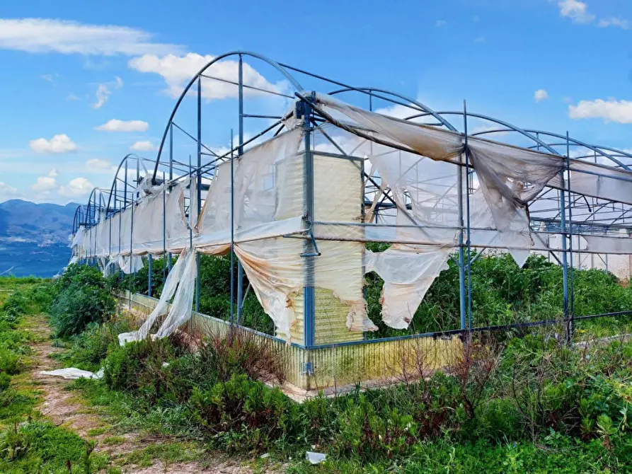 Immagine 8 di Terreno in vendita  in Contrada San Lorenzo, N. snc a Mezzojuso