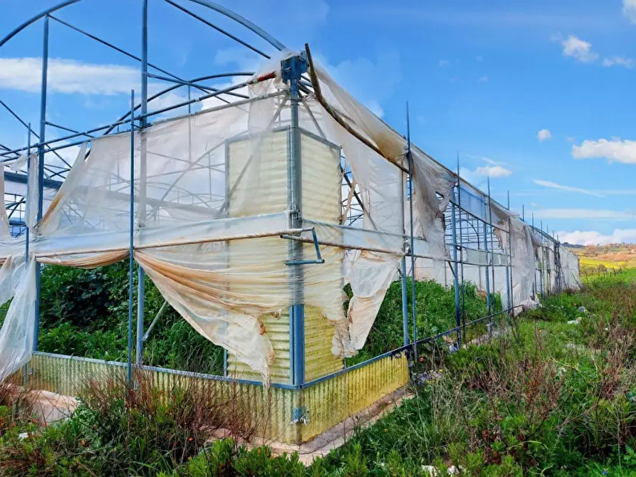 Immagine 9 di Terreno in vendita  in Contrada San Lorenzo, N. snc a Mezzojuso