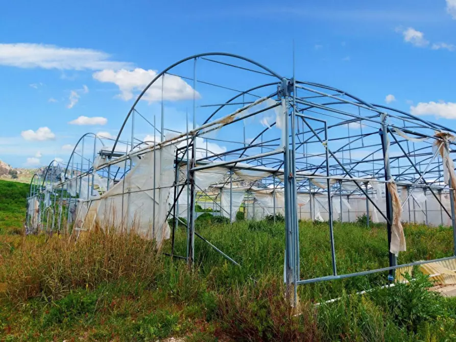 Immagine 10 di Terreno in vendita  in Contrada San Lorenzo, N. snc a Mezzojuso