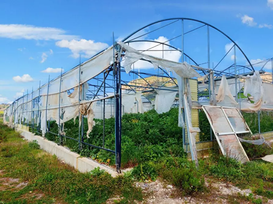 Immagine 12 di Terreno in vendita  in Contrada San Lorenzo, N. snc a Mezzojuso