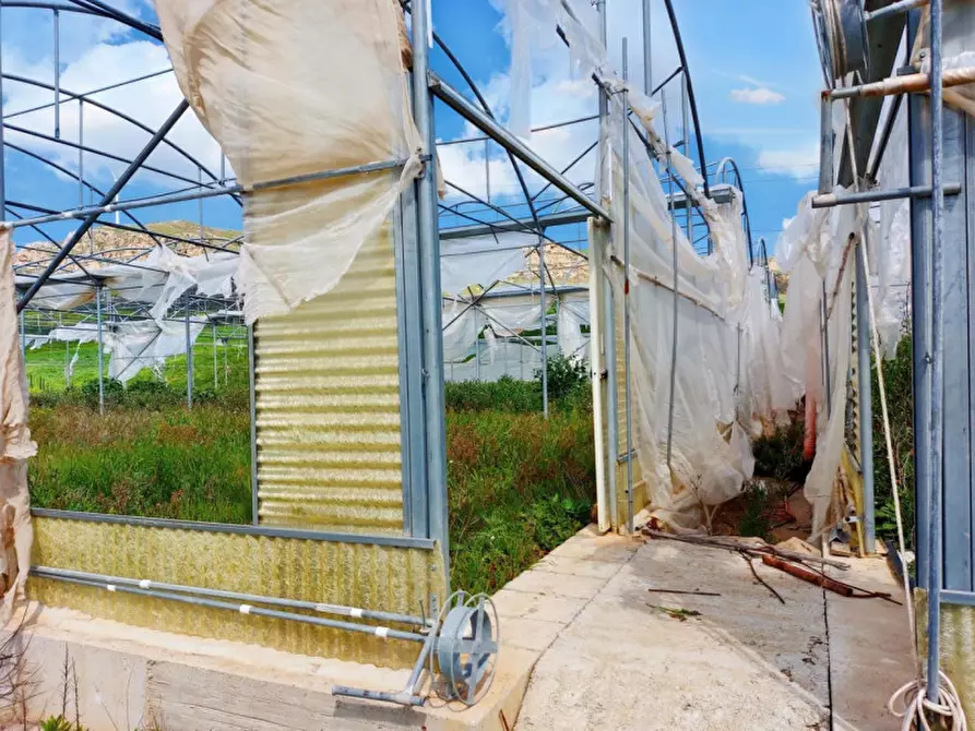 Immagine 13 di Terreno in vendita  in Contrada San Lorenzo, N. snc a Mezzojuso