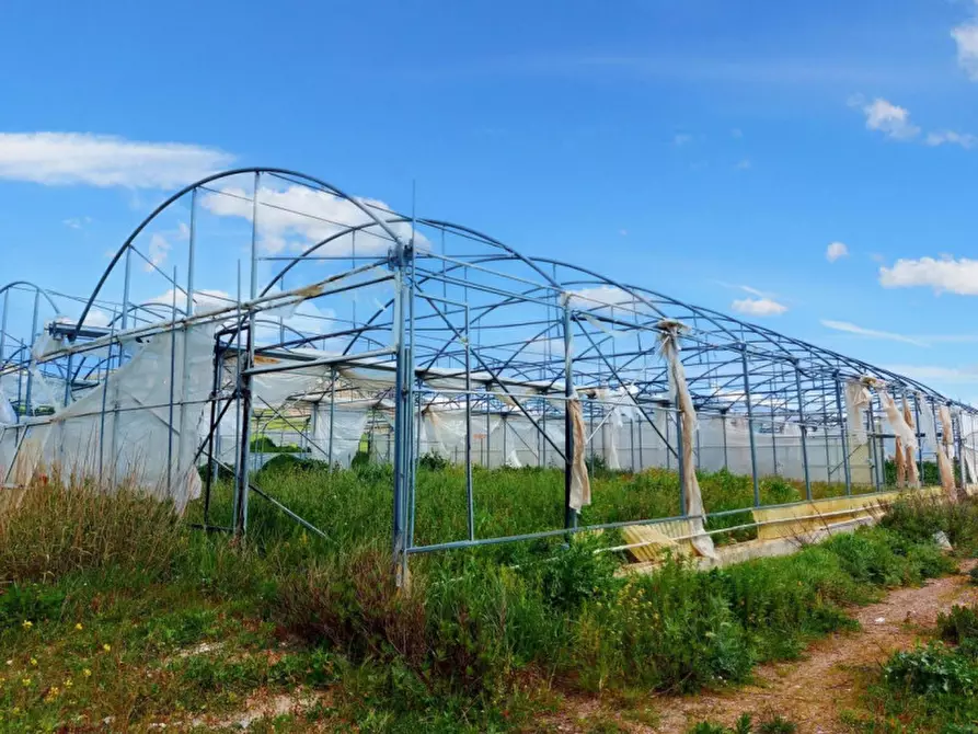 Immagine 14 di Terreno in vendita  in Contrada San Lorenzo, N. snc a Mezzojuso