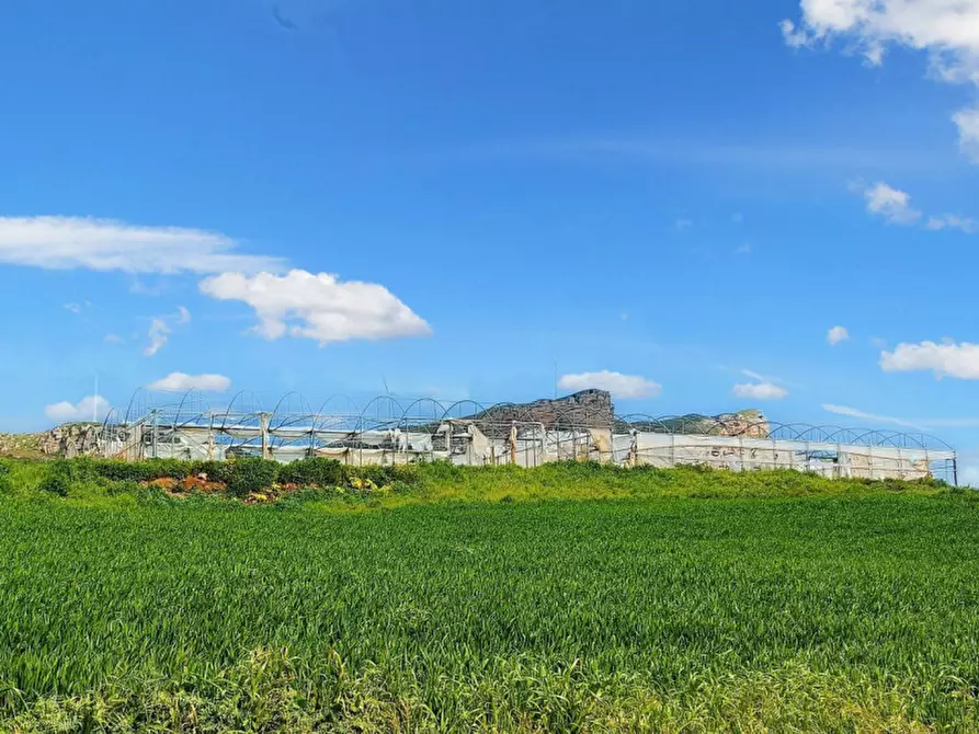 Immagine 15 di Terreno in vendita  in Contrada San Lorenzo, N. snc a Mezzojuso