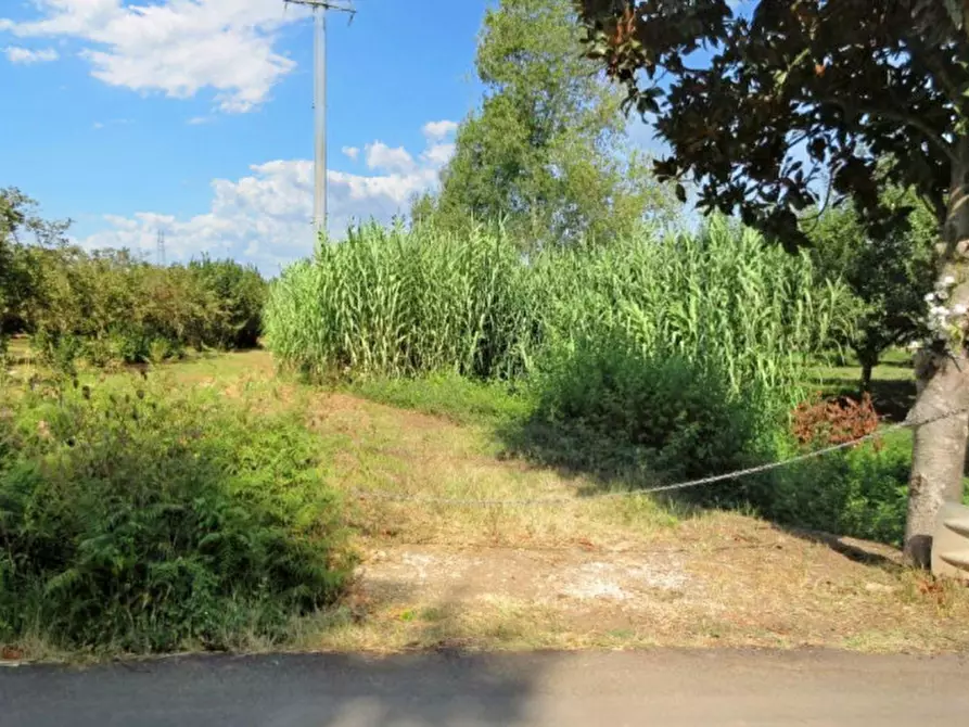 Immagine 11 di Terreno in vendita  in Via Saudina - Località Pezza del Lago, N. snc a Riardo