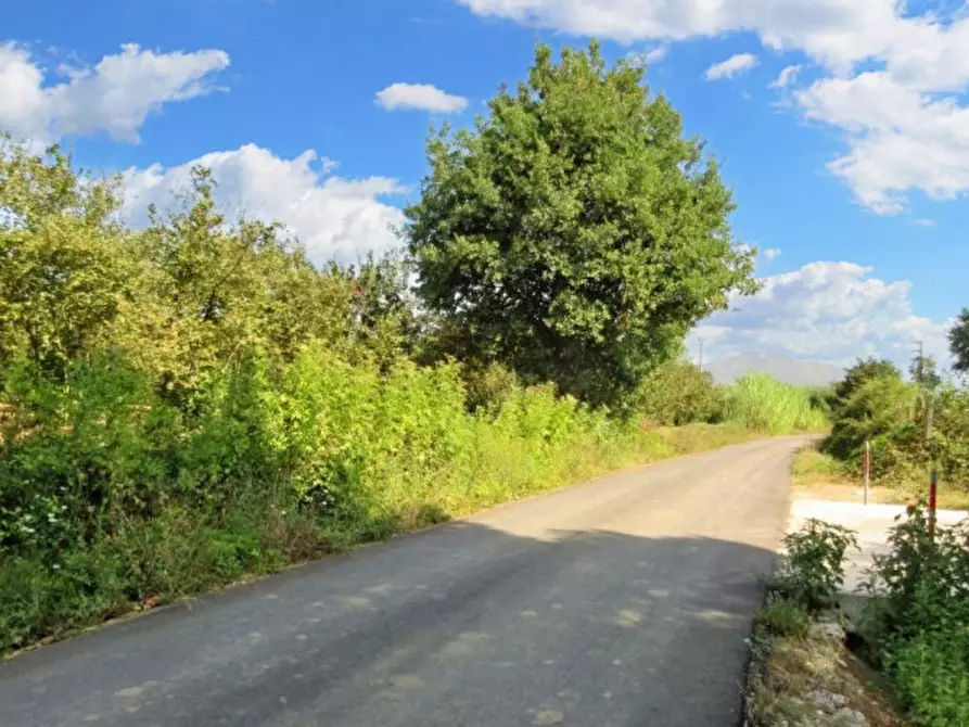 Immagine 13 di Terreno in vendita  in Via Saudina - Località Pezza del Lago, N. snc a Riardo