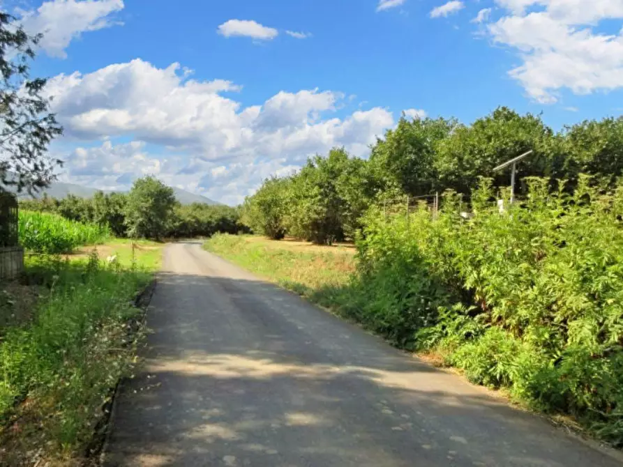 Immagine 15 di Terreno in vendita  in Via Saudina - Località Pezza del Lago, N. snc a Riardo