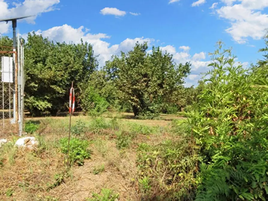 Immagine 16 di Terreno in vendita  in Via Saudina - Località Pezza del Lago, N. snc a Riardo