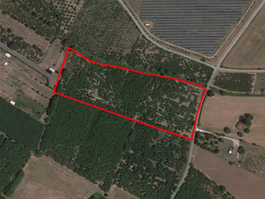 Immagine 19 di Terreno in vendita  in Via Saudina - Località Pezza del Lago, N. snc a Riardo