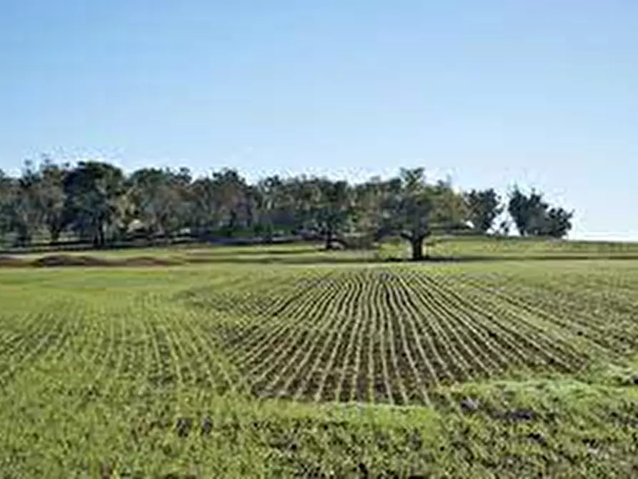 Immagine 2 di Terreno in vendita  a Gavardo