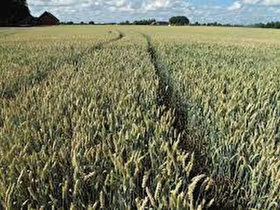 Immagine 4 di Terreno in vendita  a Gavardo