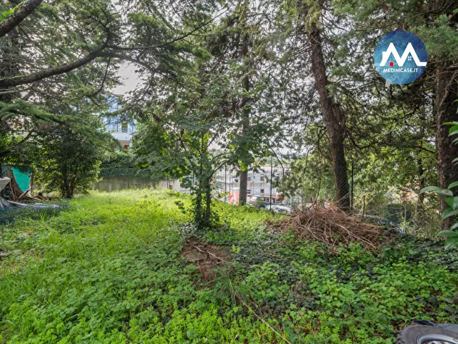 Immagine 36 di Casa bifamiliare in vendita  in Via Marcello Malpighi 10 a Pesaro