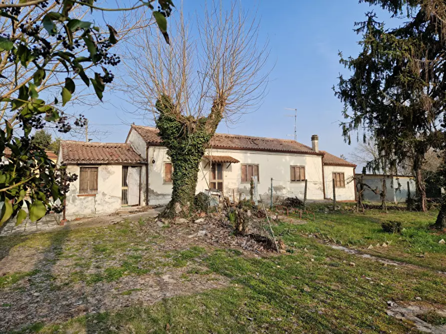 Immagine 4 di Casa indipendente in vendita  in Via Cavalletto 27 a Rovigo