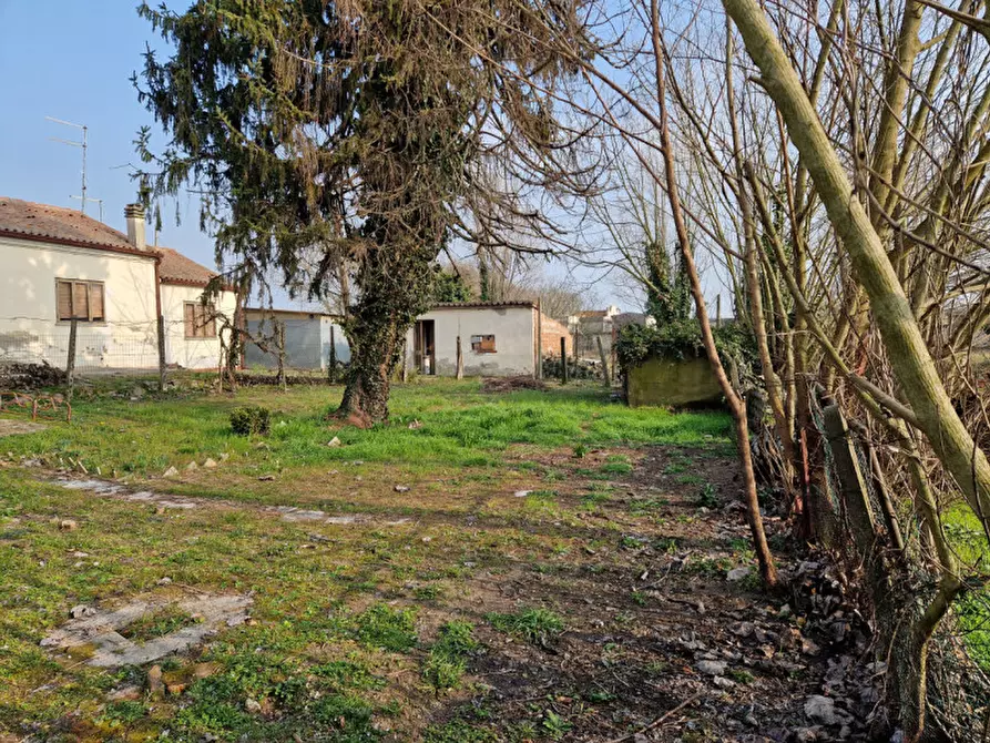 Immagine 6 di Casa indipendente in vendita  in Via Cavalletto 27 a Rovigo