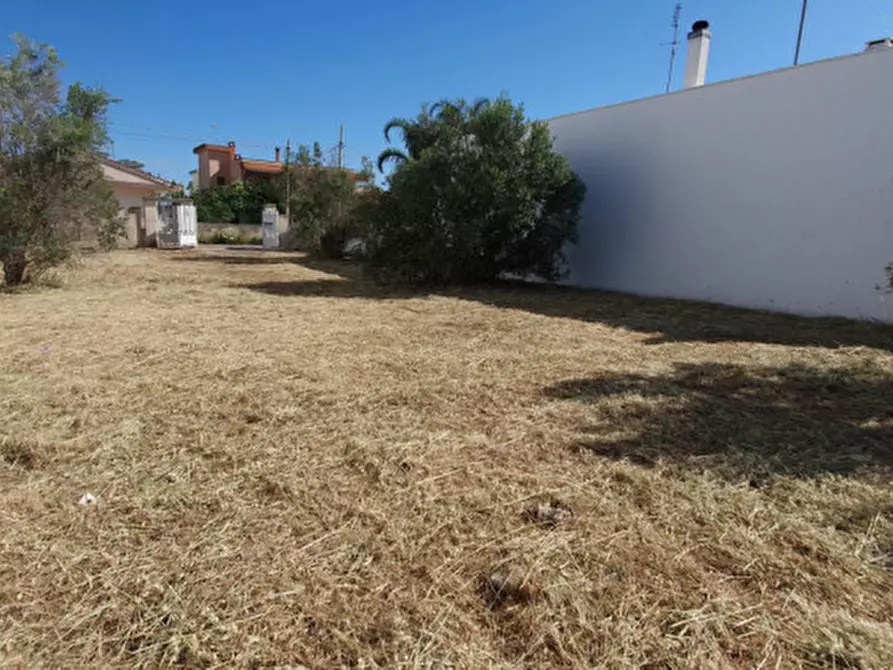 Immagine 4 di Terreno in vendita  a Casarano