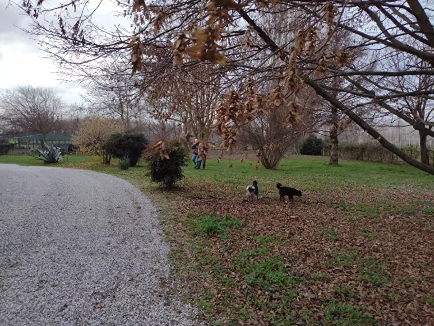 Immagine 3 di Rustico / casale in vendita  in Via Straelle a Camposampiero