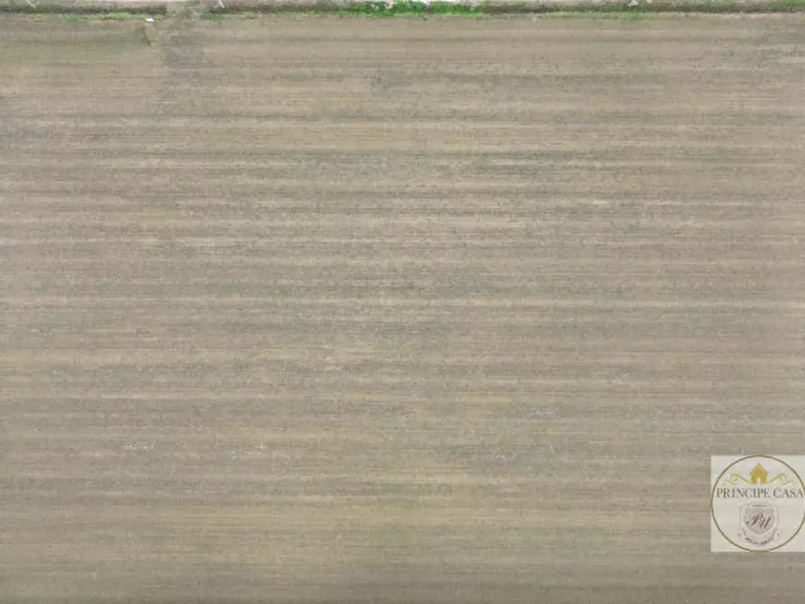 Immagine 5 di Terreno in vendita  in via rana ca mori a Este