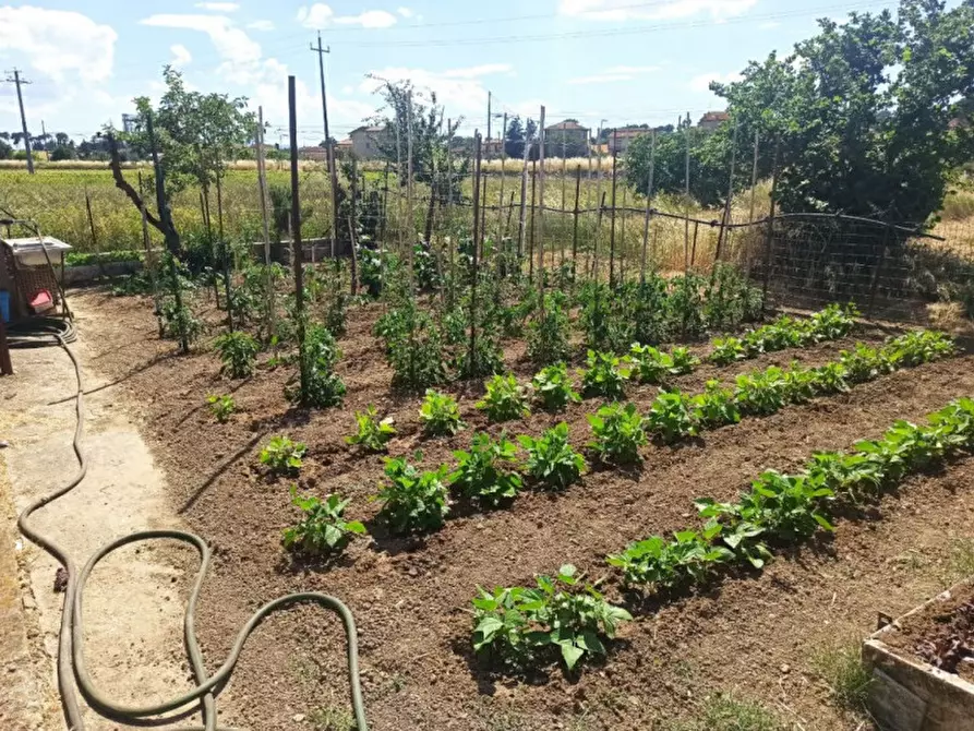 Immagine 25 di Casa indipendente in vendita  in Via Roma a Castiglione Del Lago