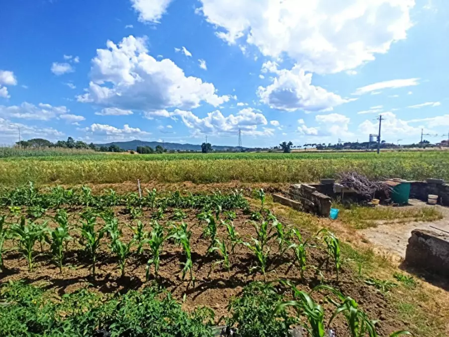 Immagine 29 di Casa indipendente in vendita  in Via Roma a Castiglione Del Lago