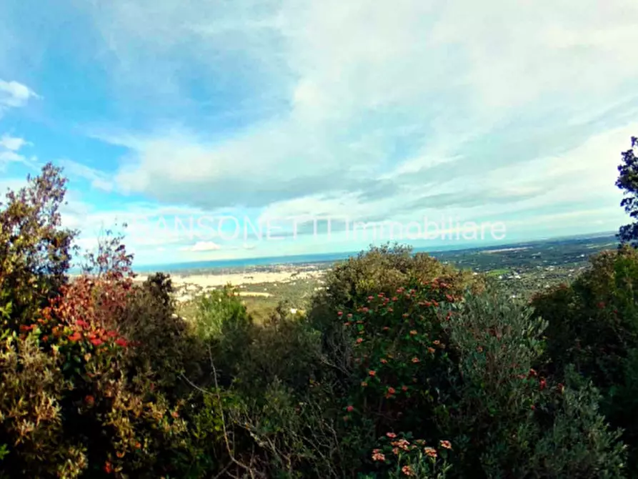 Immagine 2 di Rustico / casale in vendita  in LIU a Fasano