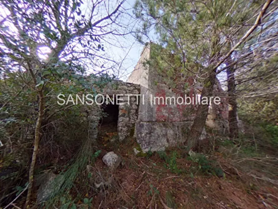 Immagine 4 di Rustico / casale in vendita  in LIU a Fasano