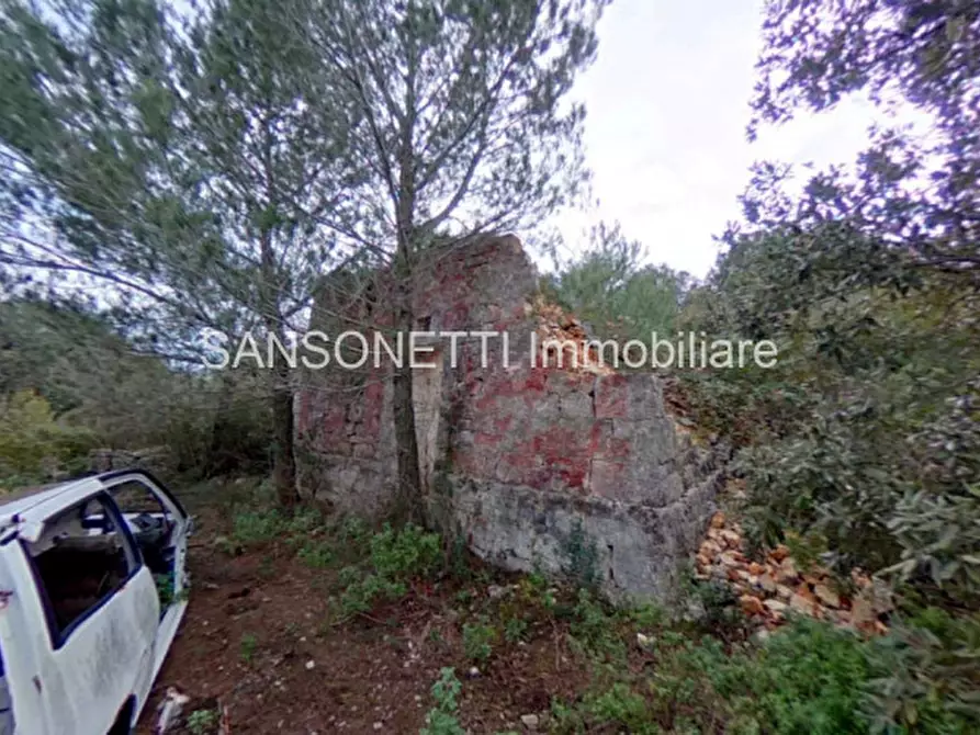 Immagine 9 di Rustico / casale in vendita  in LIU a Fasano