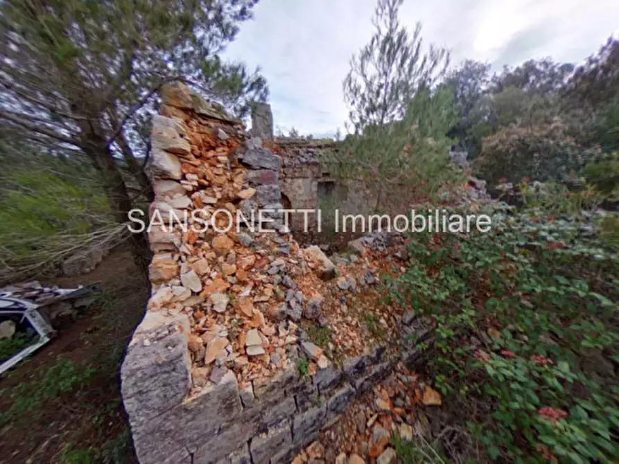 Immagine 17 di Rustico / casale in vendita  in LIU a Fasano