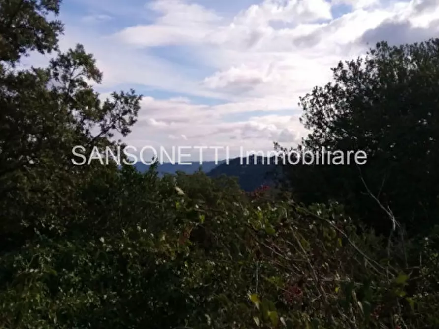 Immagine 19 di Rustico / casale in vendita  in LIU a Fasano