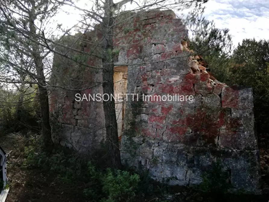 Immagine 21 di Rustico / casale in vendita  in LIU a Fasano