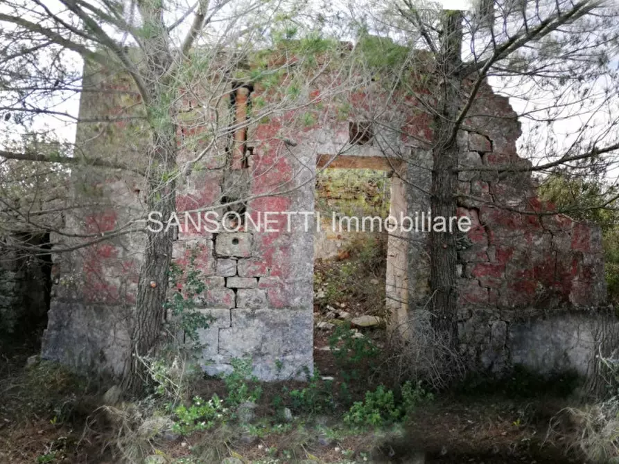 Immagine 22 di Rustico / casale in vendita  in LIU a Fasano