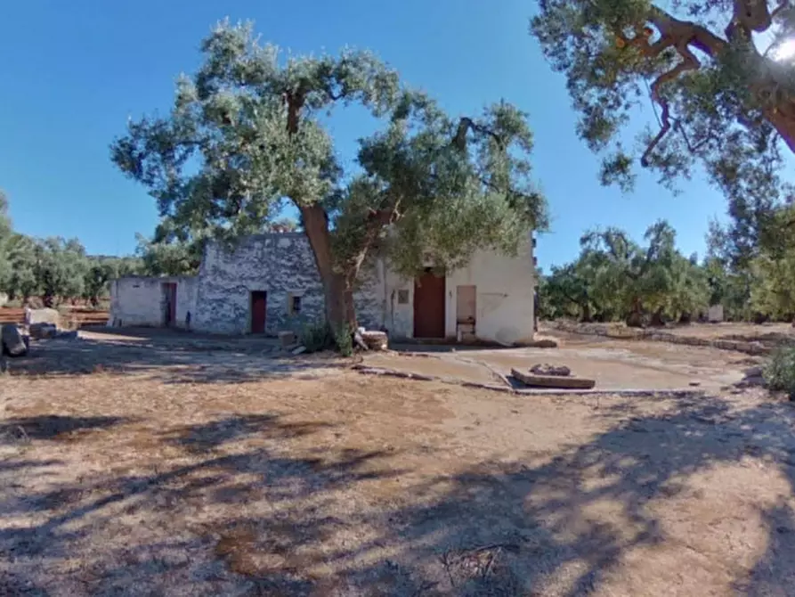 Immagine 2 di Rustico / casale in vendita  in ANNU a Fasano
